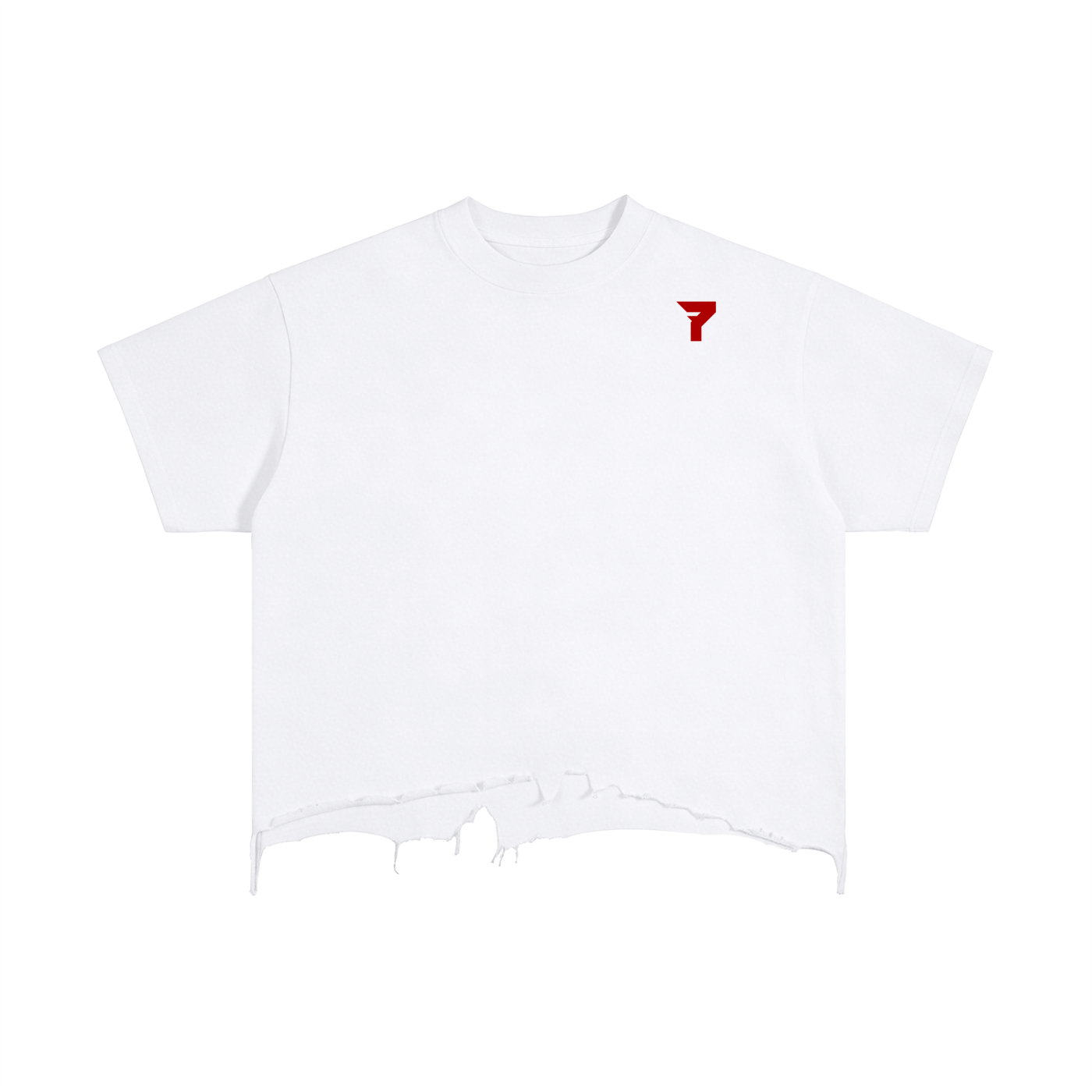 Vintage Wash Boxy Distressed Hem T-Shirt